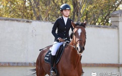 欧美性appstin孕妇欧